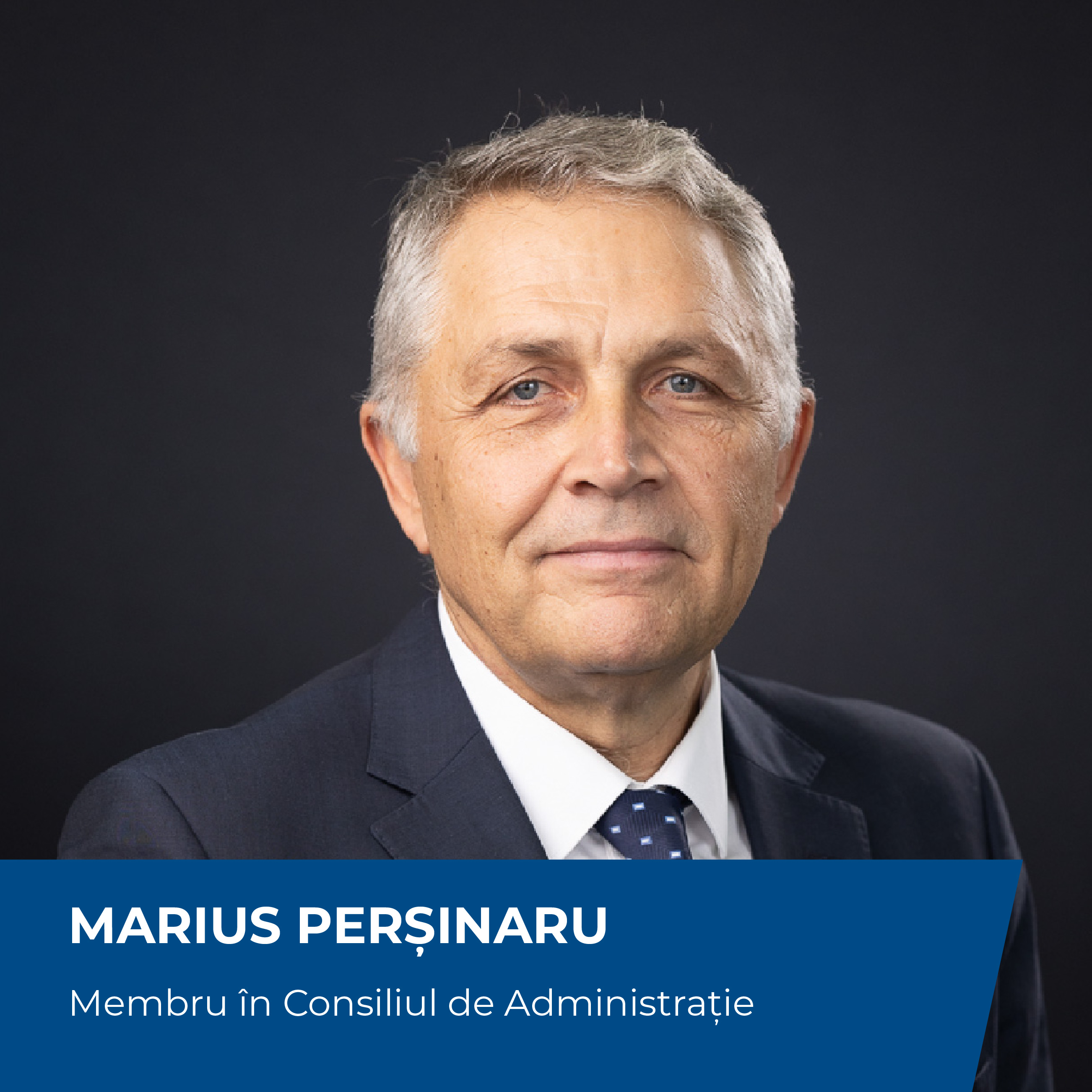 Marius Persinaru Membru CA Electroalfa